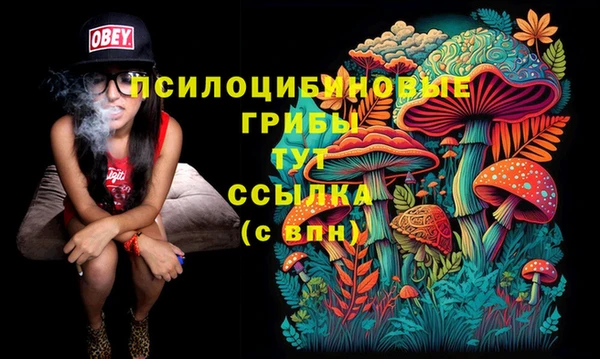 герыч Алексеевка