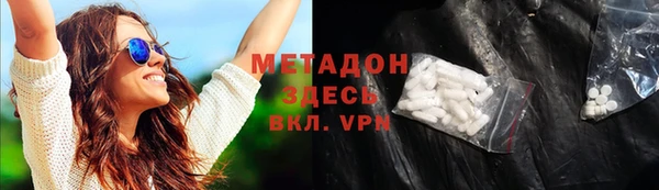 прущие грибы Алзамай