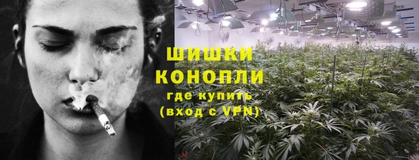 прущие грибы Алзамай