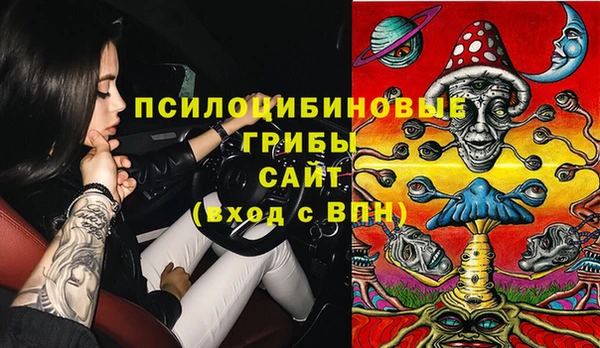 стаф Алексин