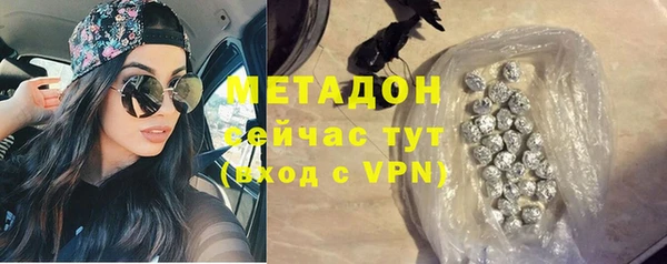 прущие грибы Алзамай