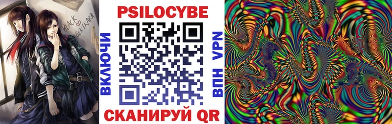 Псилоцибиновые грибы Psilocybine cubensis  Малаховка 